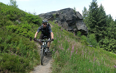 Tour Markneukirchen 2013