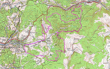 Tour Markneukirchen 2013